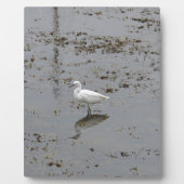 Schneefett Fotoplatte (Vorderseite)