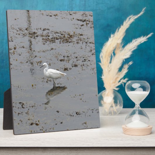 Schneefett Fotoplatte (Seite)