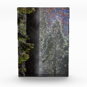 Schneefeuer im Wald Fotoblock (Vorderseite)