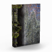Schneefeuer im Wald Fotoblock (Links)