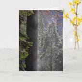 Schneefeuer im Wald Karte (Gelbe Blume)