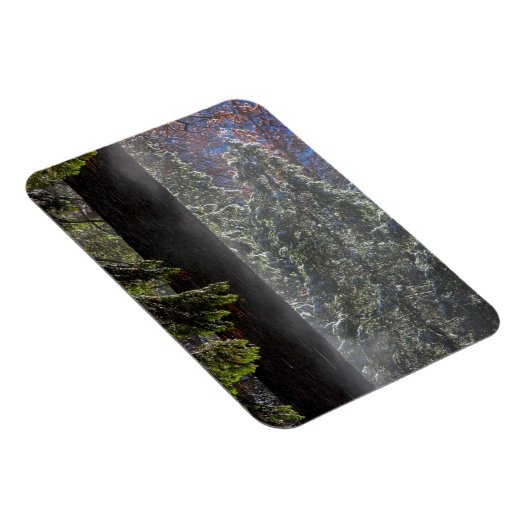 Schneefeuer im Wald Magnet (Rechte Seite)