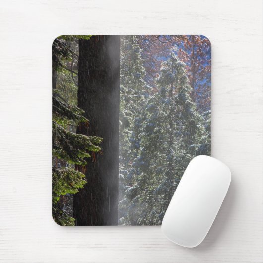 Schneefeuer im Wald Mousepad (Mit Mouse)