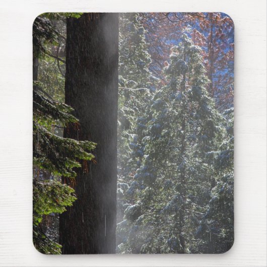 Schneefeuer im Wald Mousepad (Vorne)