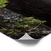 Schneefeuer im Wald Poster (Ecke)