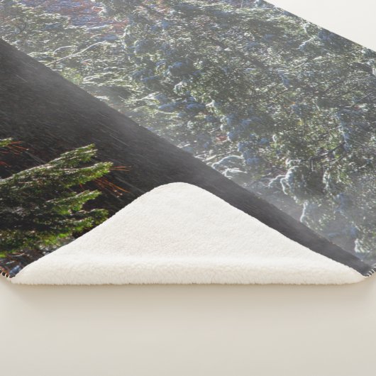 Schneefeuer im Wald Sherpadecke (3/4)