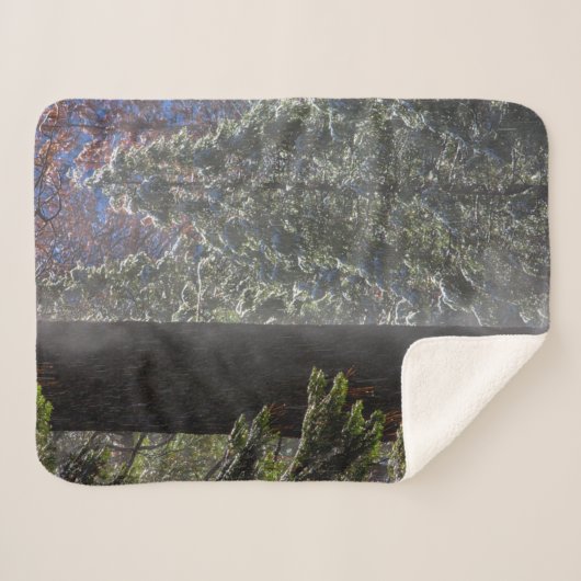 Schneefeuer im Wald Sherpadecke (Vorderseite (Horizontal))