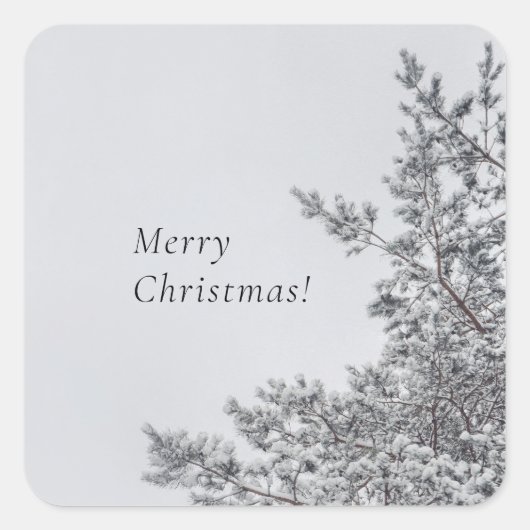 Schneefichte, skandinavische Weihnachtsästhetik Quadratischer Aufkleber (Vorderseite)