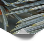 Schneefleck Poster (Ecke)