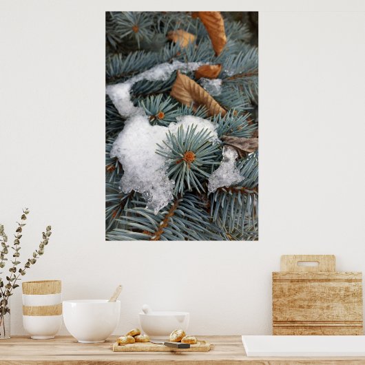 Schneefleck Poster (Küche)