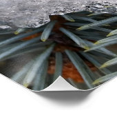 Schneefleck Poster (Ecke)