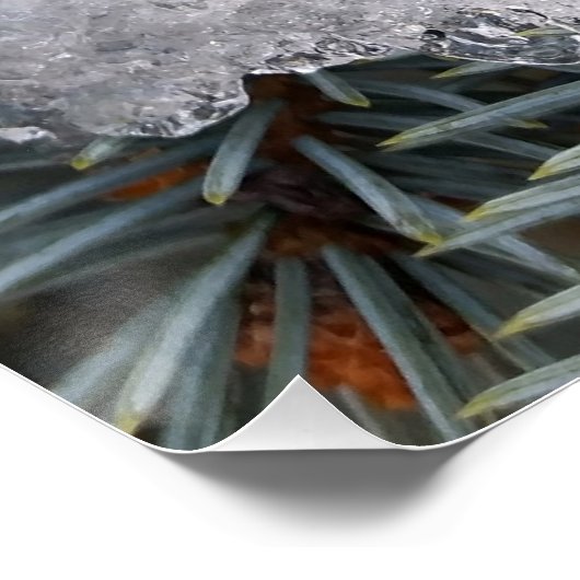 Schneefleck Poster (Ecke)