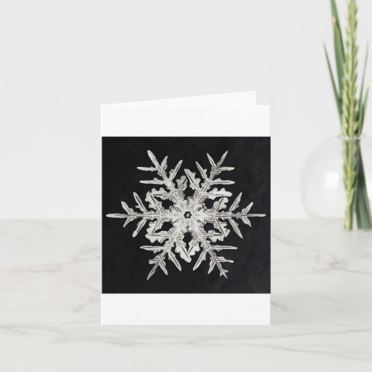 Schneeflocke 1 feiertagskarte (Vorderseite)