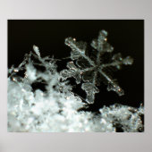 Schneeflocke 2009 Blizzard Poster (Vorne)