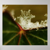 Schneeflocke 2009 Blizzard Poster (Vorne)