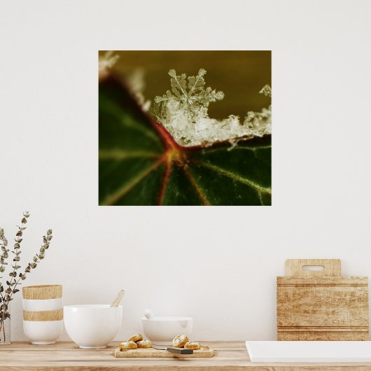 Schneeflocke 2009 Blizzard Poster (Küche)