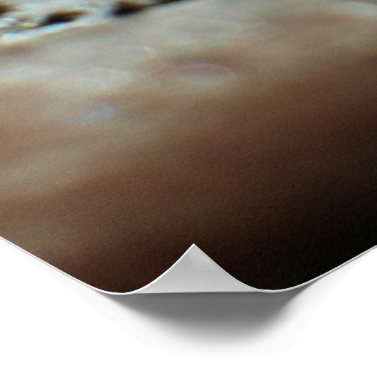 Schneeflocke 2009 Blizzard Poster (Ecke)