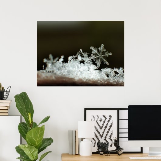 Schneeflocke 2009 Blizzard Poster (Heimbüro)