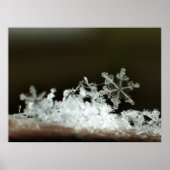 Schneeflocke 2009 Blizzard Poster (Vorne)