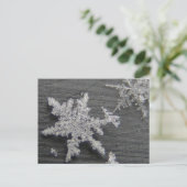Schneeflocke 45 ~ Postkarte (Stehend Vorderseite)