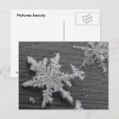 Schneeflocke 45 ~ Postkarte (Vorne/Hinten)