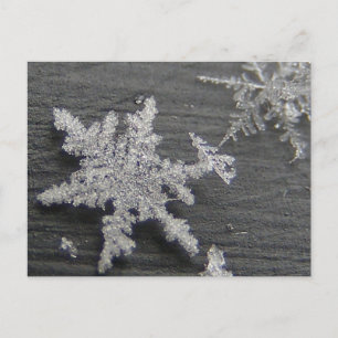 Schneeflocke 45 ~ Postkarte