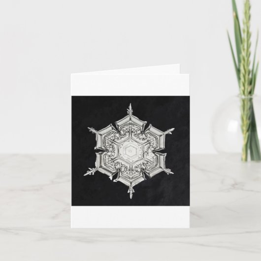 Schneeflocke 7 Urlaubskarte Feiertagskarte (Vorderseite)