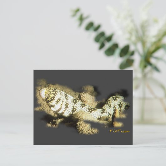 Schneeflocke-Aal Postkarte (Stehend Vorderseite)