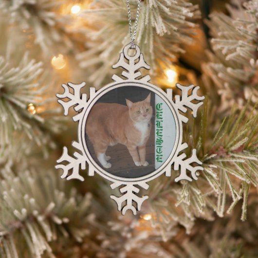 Schneeflocke Gerahmte Katze Ornament (Baum)