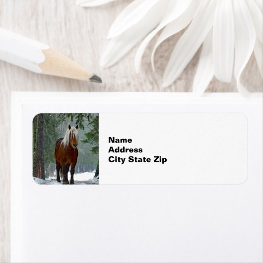 Schneeflocke im Pferdewald (Insitu)