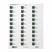 Schneeflocke im Pferdewald (Vorne)