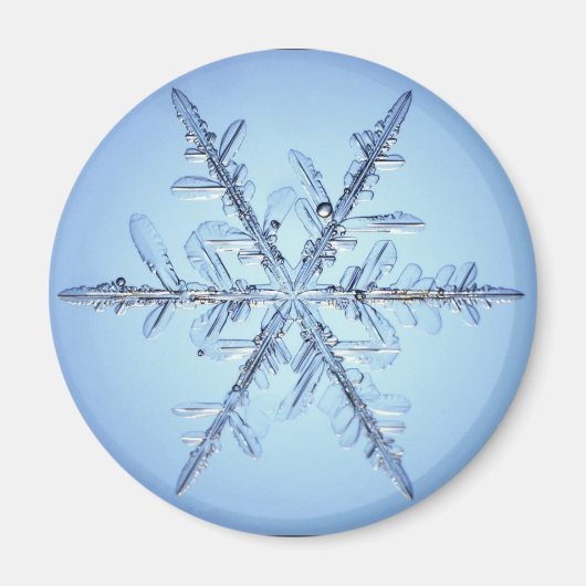 Schneeflocke Magnet (Vorne)