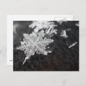 Schneeflocke Postkarte (Vorne/Hinten)