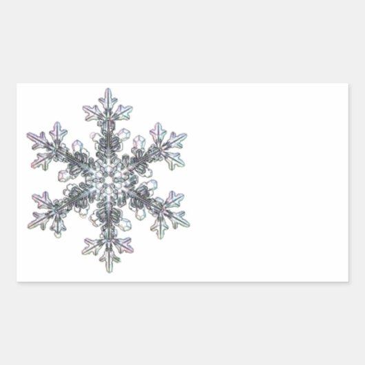 Schneeflocke Rechteckiger Aufkleber (Vorderseite)