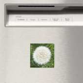 Schneeflocke trockene Leuchte Magnet (In Situ (Geschirrspüler))