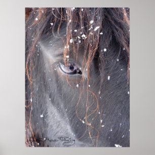 Schneeflocken auf dem Fell Pony Poster