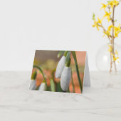 Schneeflocken auf Grußkarten Karte (Gelbe Blume)