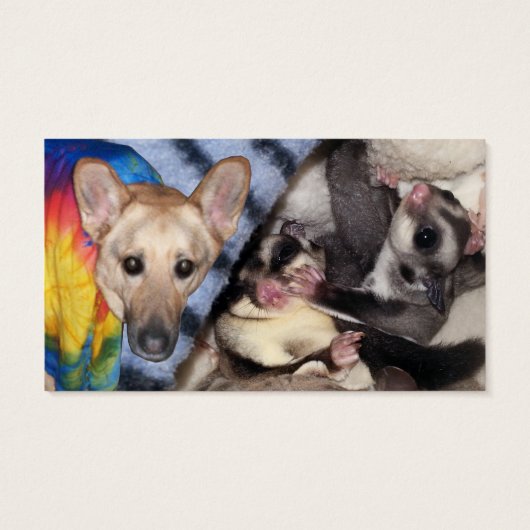 Schneeflocken, Deutscher Schäferhund, Sugar Glider (Rückseite)