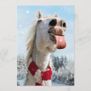 Schneeflocken Einladung