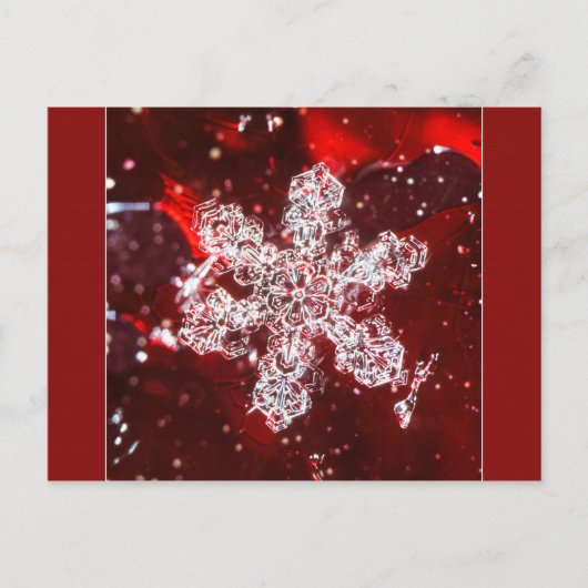 Schneeflocken-Foto-Postkarte Postkarte (Vorderseite)