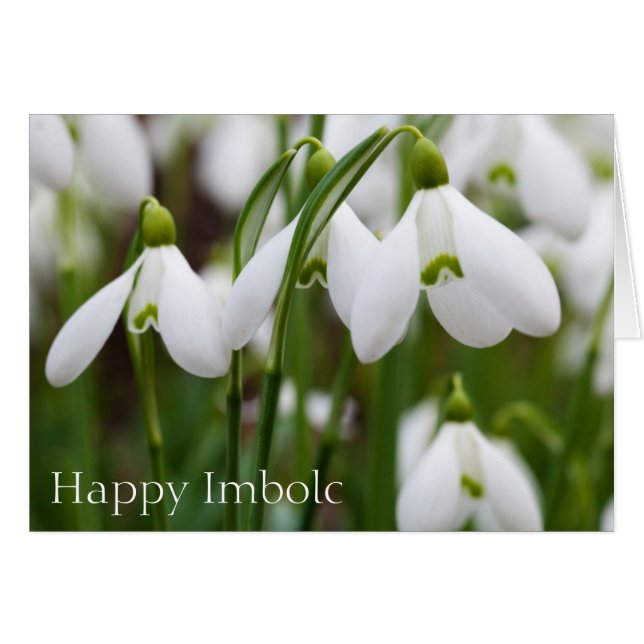 Schneeflocken - Happy Imbolc (Vorderseite (Horizontal))