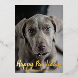 Schneeflocken Happy Pawlidays Dog Foto Weihnachten Folien Feiertagskarte