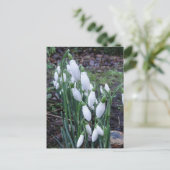 Schneeflocken im Regen auf der Ansichtskarte Postkarte (Stehend Vorderseite)