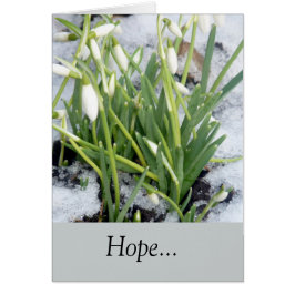 Schneeflocken im Schnee