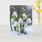 Schneeflocken im Schnee Karte (Gelbe Blume)