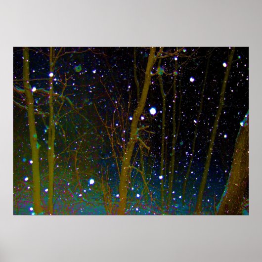 Schneeflocken im Wald Poster (Vorne)
