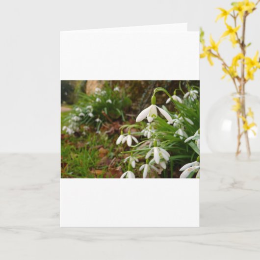 Schneeflocken Karte (Gelbe Blume)