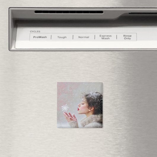 Schneeflocken Magnet (In Situ (Geschirrspüler))