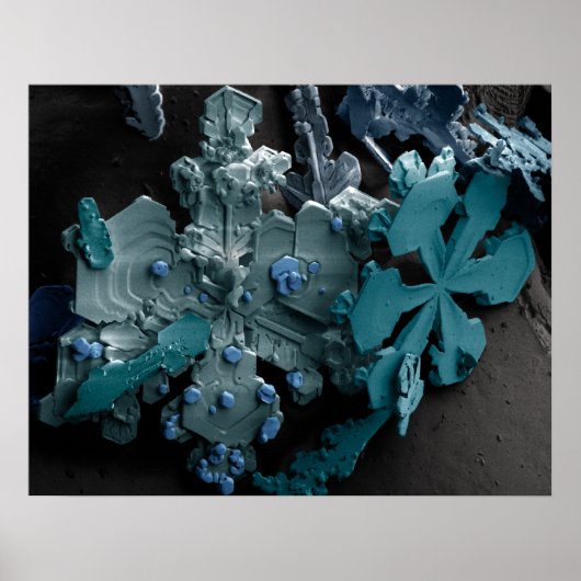 Schneeflocken Poster (Vorne)