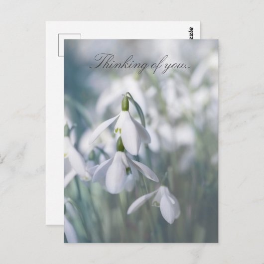 Schneeflocken Postkarte (Vorne/Hinten)